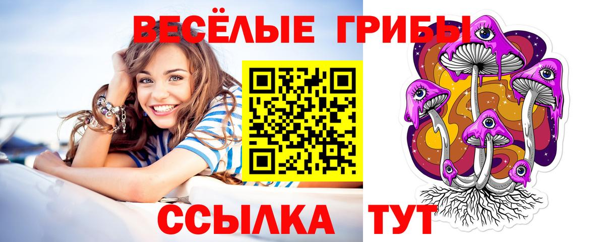Гай  Псилоцибиновые грибы Magic Shrooms  Псилоцибиновые грибы GOLDEN TEACHER  Вход с VPN 